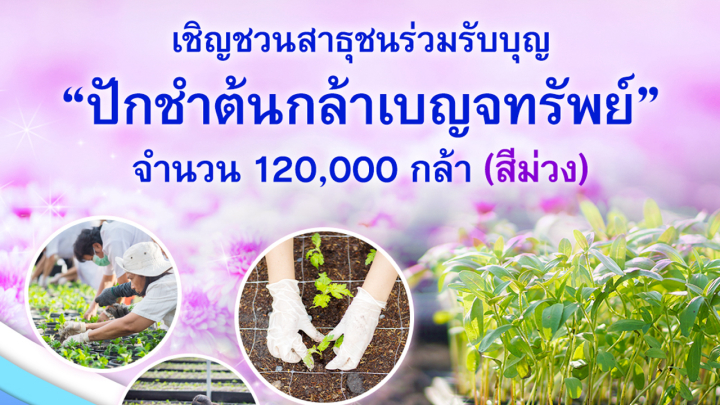 ขอเชิญชวนทุกท่านร่วมรับบุญ “ปักชำต้นกล้าเบญจทรัพย์” จำนวน 120,000 กล้า