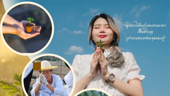 ขอเชิญทุกท่านร่วมปลูกต้นกล้าเบญจทรัพย์ วันที่ 17-19 สิงหาคม พ.ศ. 2567 