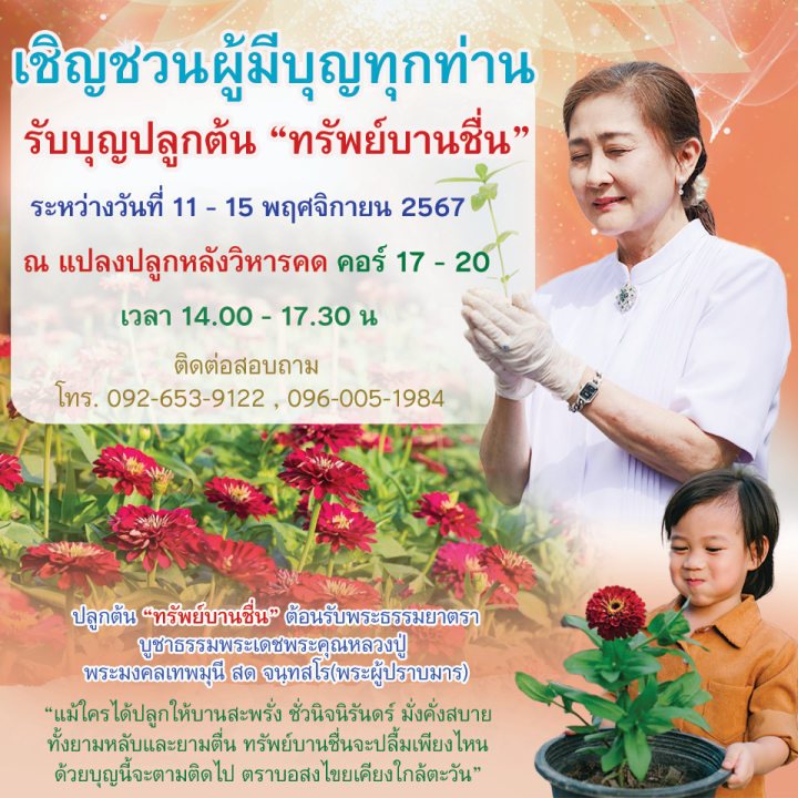 รับบุญปลูกต้น "ทรัพย์บานชื่น" วันที่ 11 - 15 พฤศจิกายน พ.ศ.2567