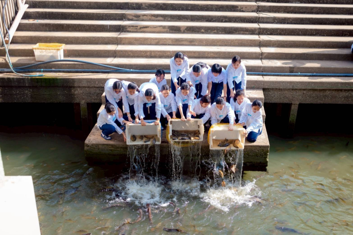ธรรมทายาทหญิง รุ่นที่ 40 (ภาคฤดูร้อน) ปล่อยปลาให้ชีวิตสัตว์เป็นทาน