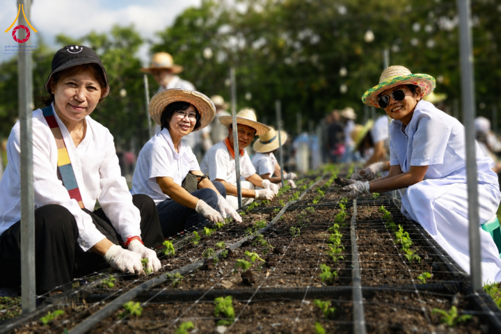สาธุชนพร้อมด้วยเจ้าหน้าที่วัดพระธรรมกาย ร่วมปลูกต้นเบญจทรัพย์