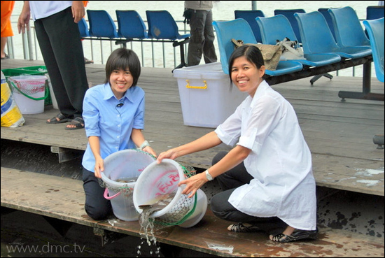 ภาษาอังกฤษวันละคำ Release fish and feed the fish