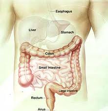 สาเหตุทั่วไปโรคท้องผูก ที่เรามองข้าม คลิ๊ก