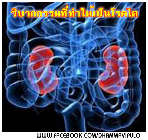 วิบากกรรมที่ทำให้เป็นโรคไต