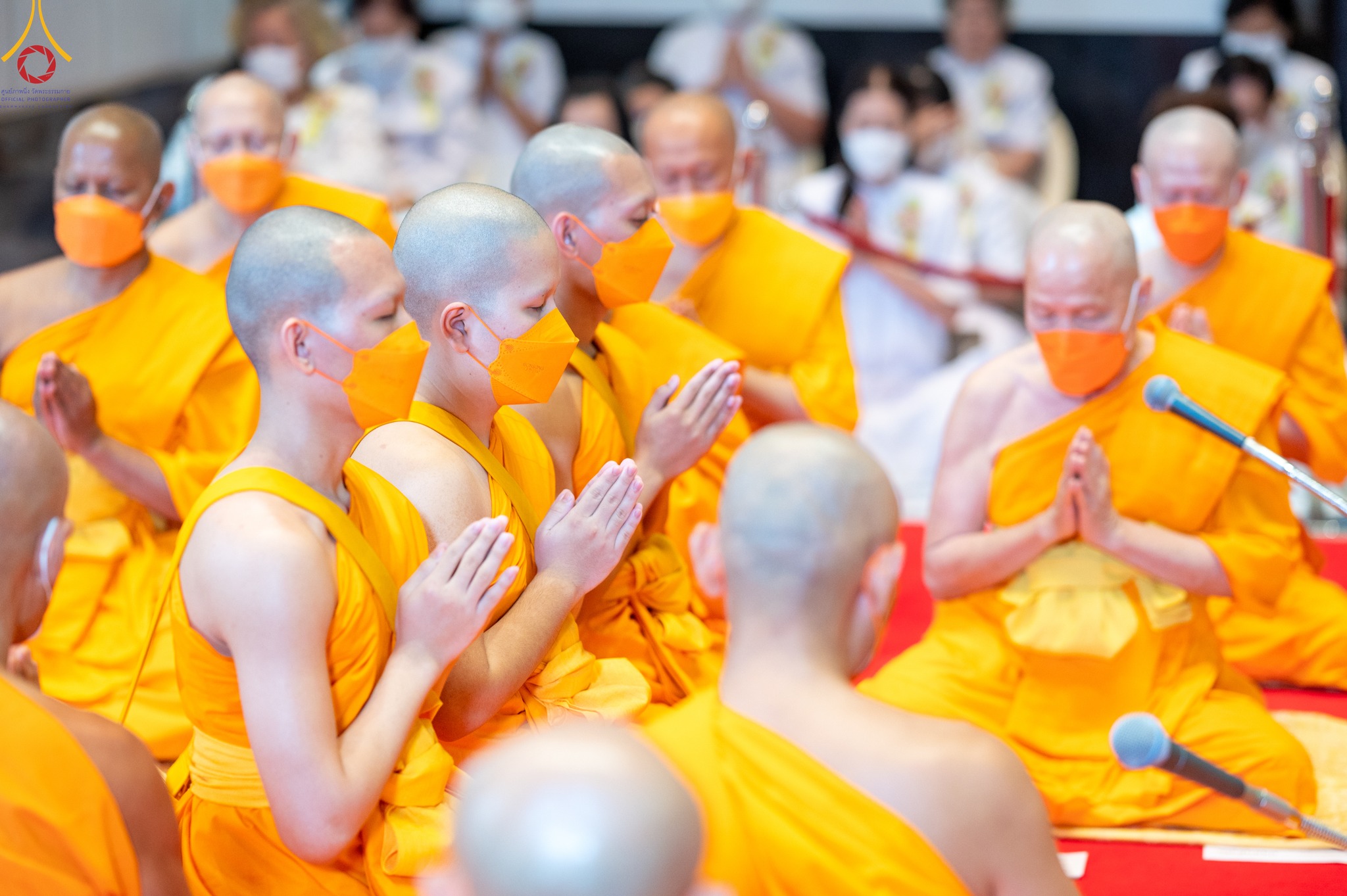 วัดพระธรรมกาย จัดพิธีอุปสมบทสามเณรอุทิศชีวิต 11 รูป