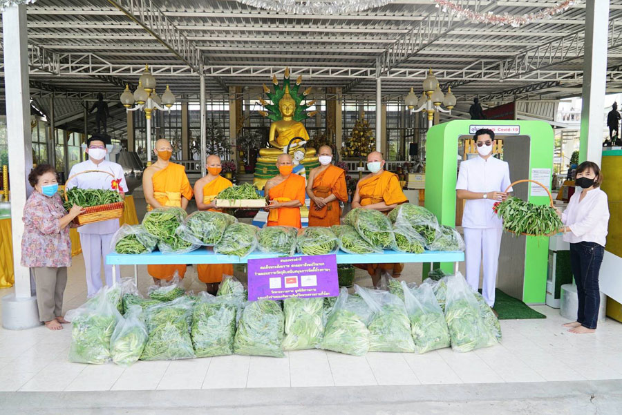 วัดพระธรรมกาย ถวายผักปลอดสารพิษแด่วัดดอนใหญ่ และวัดโพสพผลเจริญ