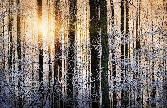 Only Those With A Pure Heart Will Be With Me   ใจสะอาด จึงได้ใกล้ยาย