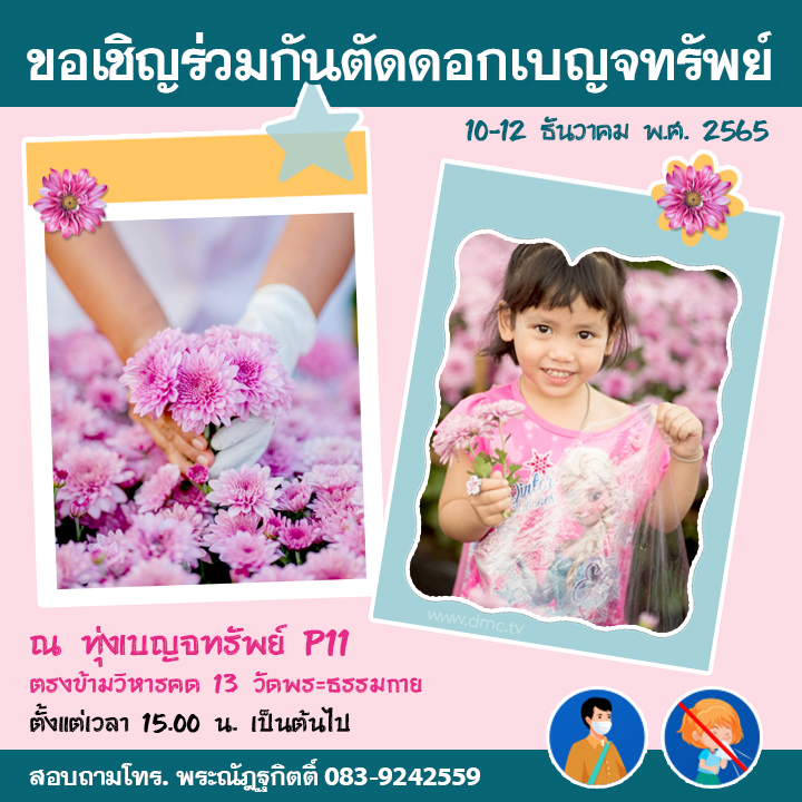 ขอเชิญร่วมตัดดอกเบญจทรัพย์ ณ ทุ่งเบญจทรัพย์ P11