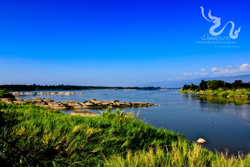 7 จุดชมบั้งไฟพญานาค