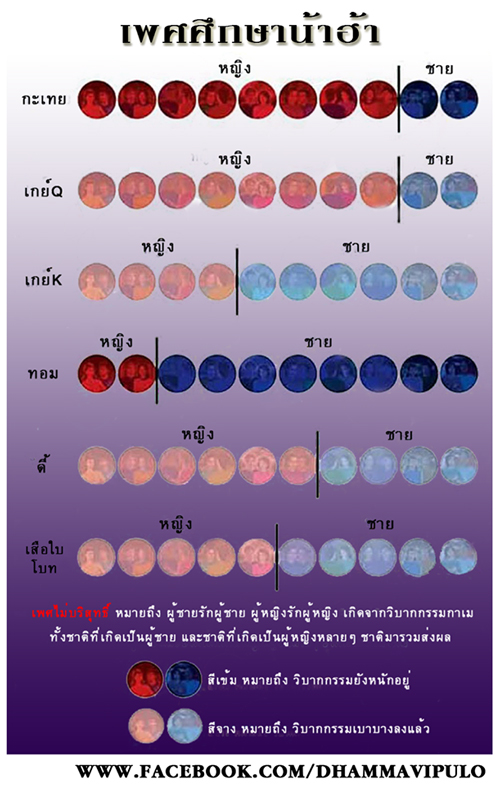 เพศศึกษา