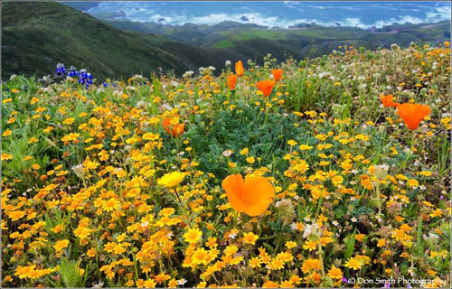 บทความภาษาอังกฤษเรื่อง Hurry On  รีบโกย รีบพาย