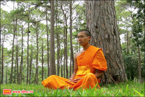 ผลการปฏิบัติธรรมพระธรรมทายาท ประครอง สนฺติธโร