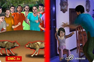 ชีวิตของสัตว์เดรัจฉาน-วงจรชีวิต