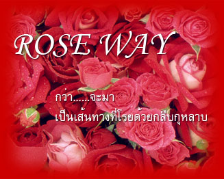 ROSE WAY กว่าจะมาเป็นเส้นทางที่โรยด้วยกลีบกุหลาบ : มหาปูชนียาจารย์