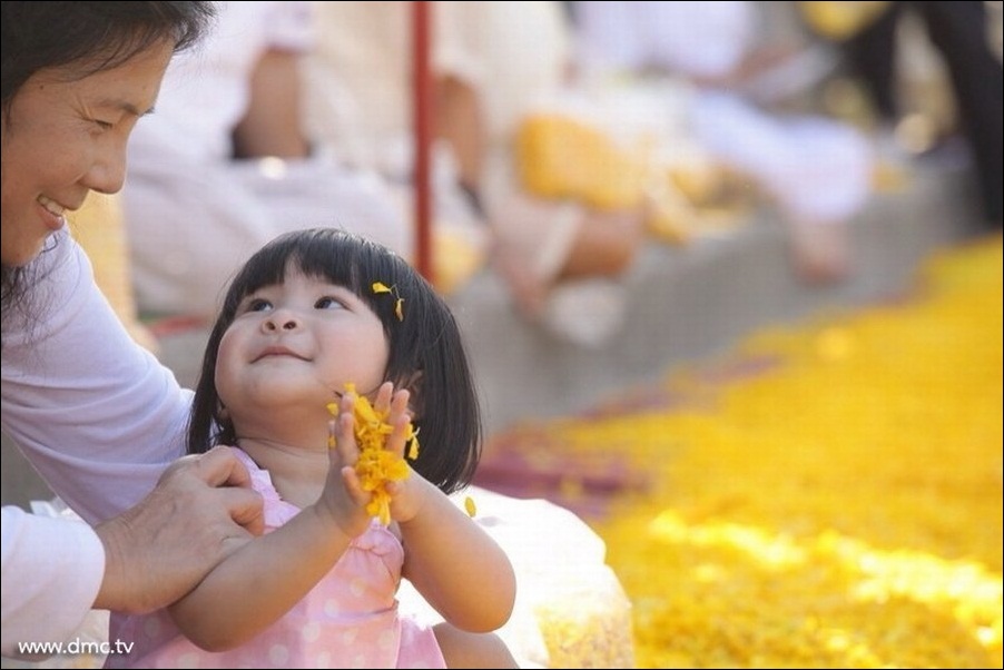 The Photo Collection of the 2013 Dhammachai Dhutanga on January 13th, 2013