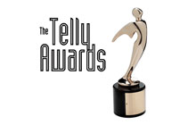 12 Prestigious Telly Awards