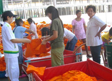 คณะสงฆ์และอาสาสมัครวัดพระธรรมกายกู้ผ้าไตรจีวรและอุปกรณ์สงฆ์ที่จมน้ำจากอุทกภัยน้ำท่วม