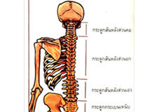 การระวังรักษาภาวะสมดุลของอิริยาบถ