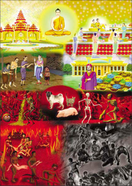 Dad, Why Were We Born?