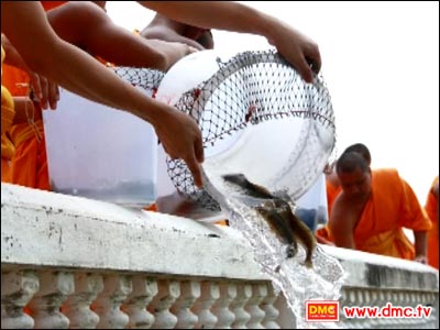 The Master Nun Chand’s Refectory invites you to save and release fish and birds on Saturday July 6th, 2014