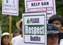 ความคืบหน้า การคัดค้านพระพุทธรูปล้มที่มิวนิค