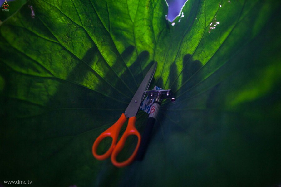 ประมวลภาพพิธีบรรพชาและอุปสมบทหมู่นาคธรรมทายาทบูชาธรรม 48 พรรษาหลวงพ่อธัมมชโย