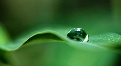 The Peaceful Mind Begins from Being Good