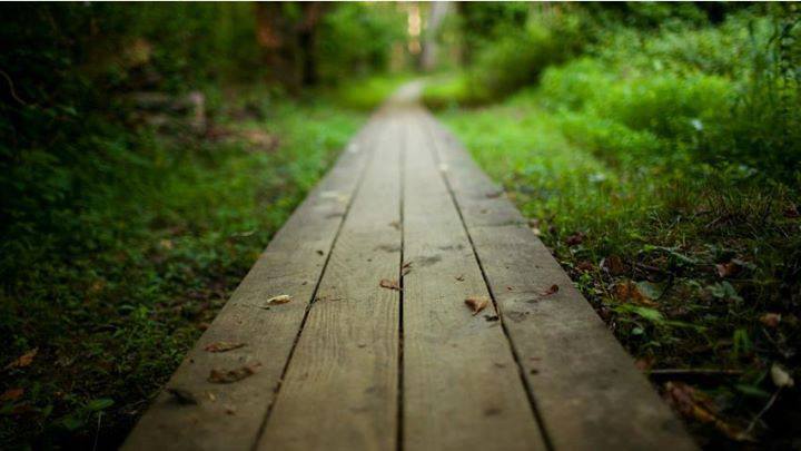 ภาษาอังกฤษวันละคำ On the way