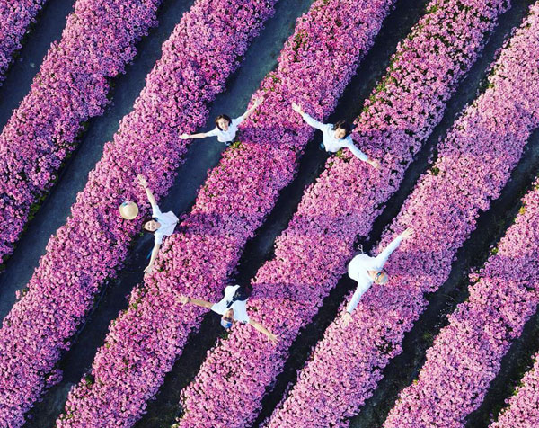 สวนดอกไม้ปทุมเจดีย์ วัดพระธรรมกาย