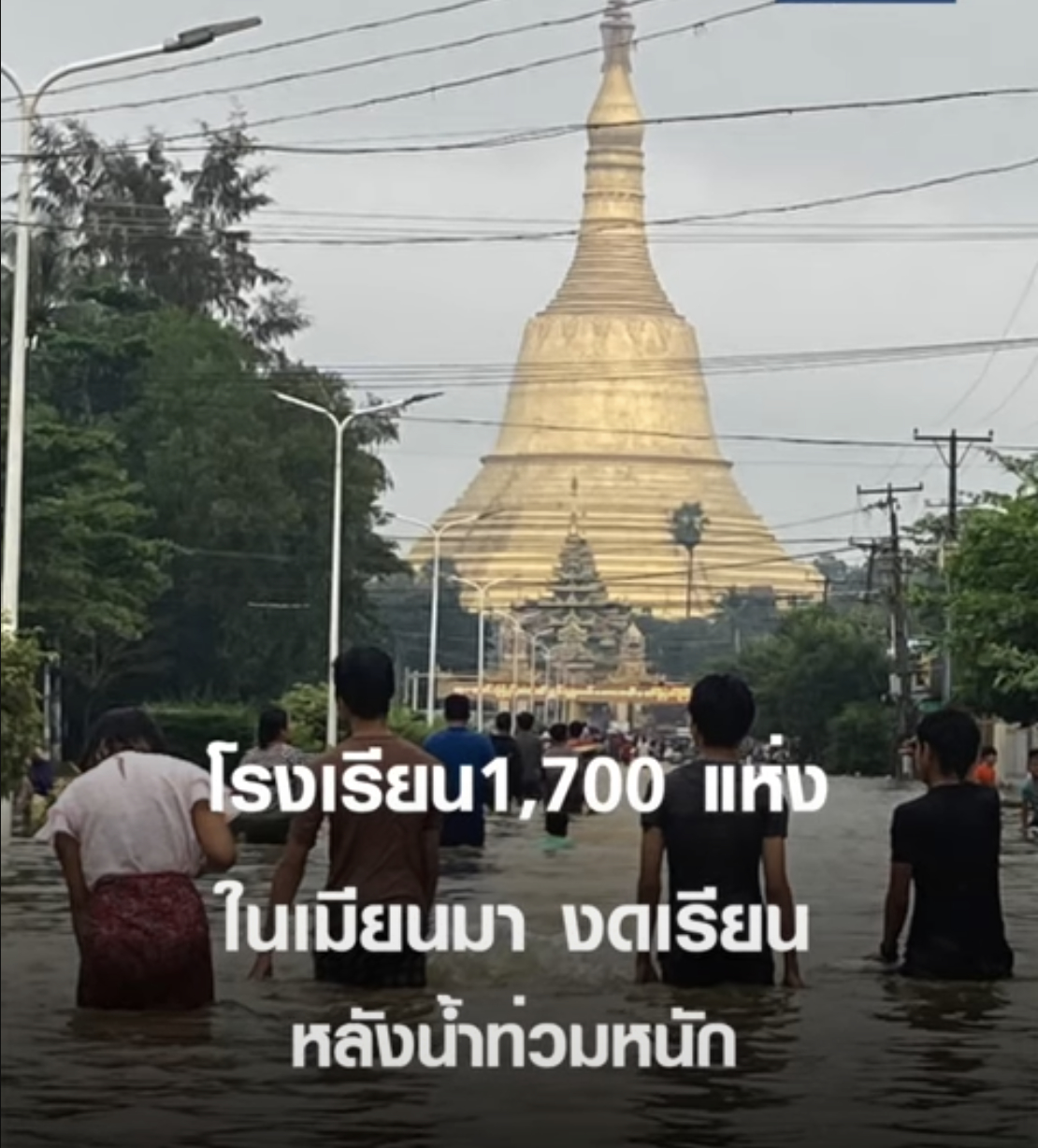 Screen Shot 2567-08-06 at 15.16.35.png