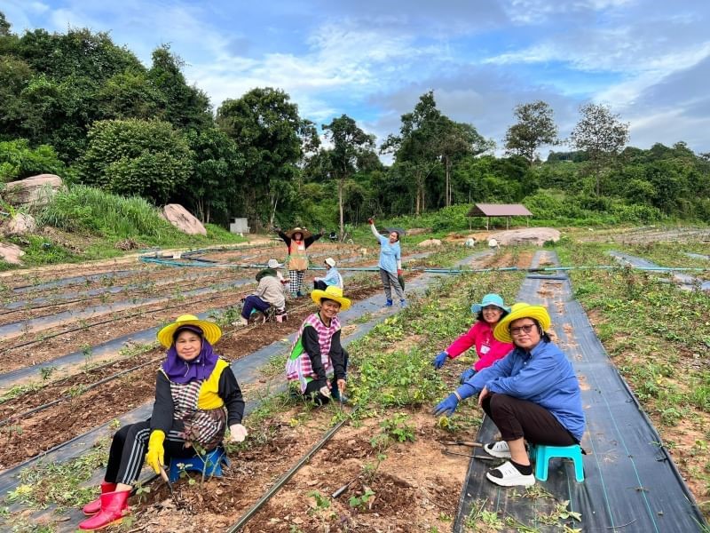 โครงการปฏิบัติธรรมกุหลาบสวรรค์ ปี 2567