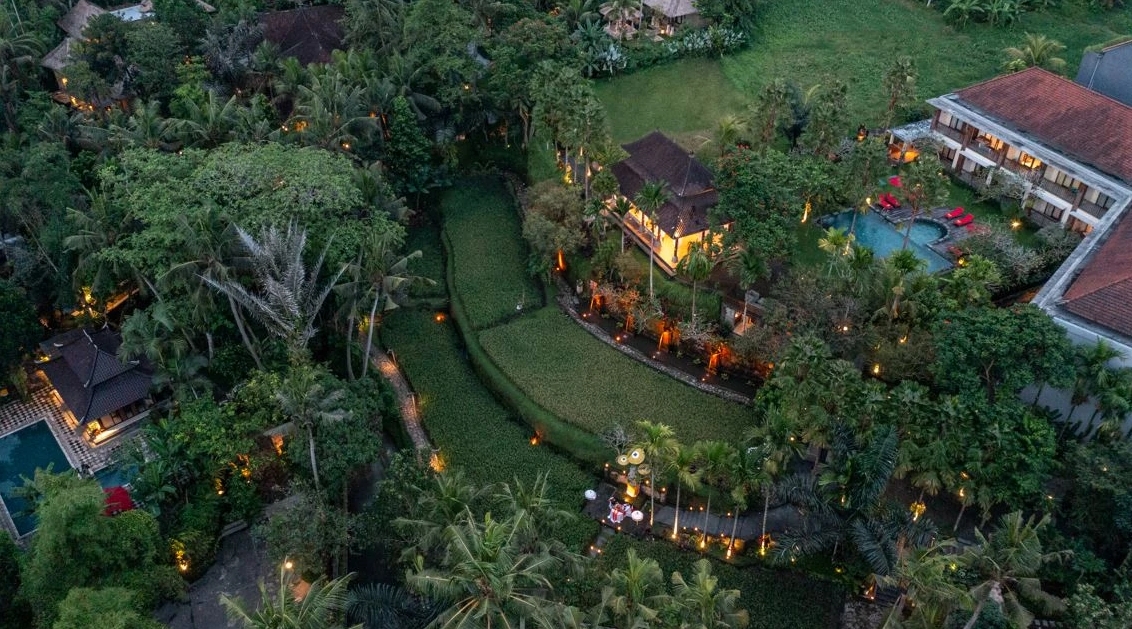 Light of Peace Fest 2024