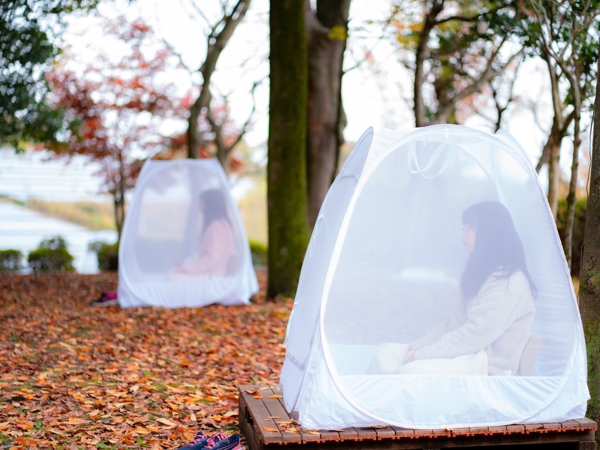 วัดป่าธรรมกายนานาชาติ โทชิหงิ จัดปฏิบัติธรรมสุดสัปดาห์ รุ่นที่ 106