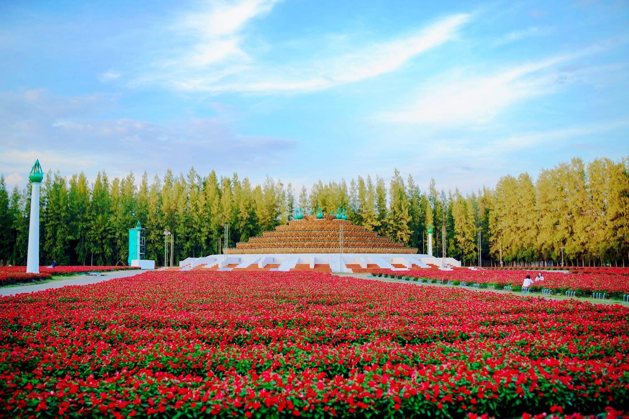 ทุ่งสวรรค์ตะวันฉาย