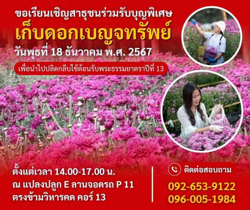 เก็บดอกเบญจทรัพย์