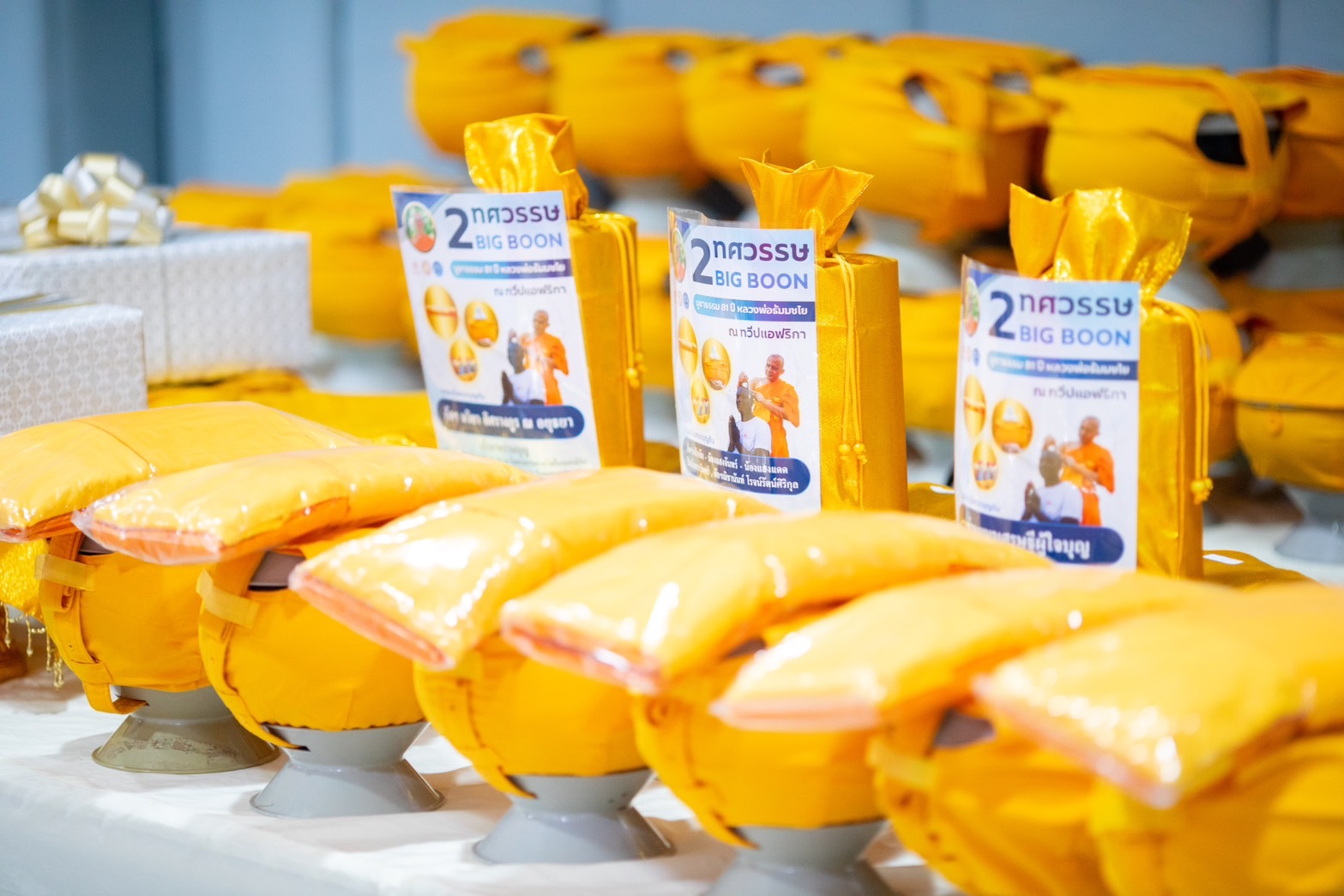 งานสัมมนา 2 ทศวรรษ 2 Bigboon in Africa