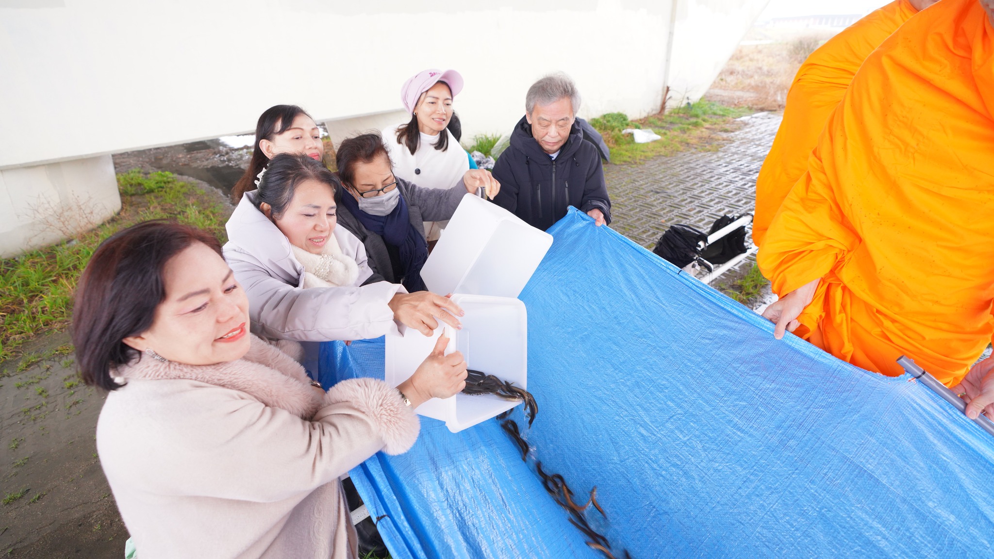 วัดพระธรรมกายโอซาก้า จัดกิจกรรมปล่อยปลาสหวาระเดือนเกิด