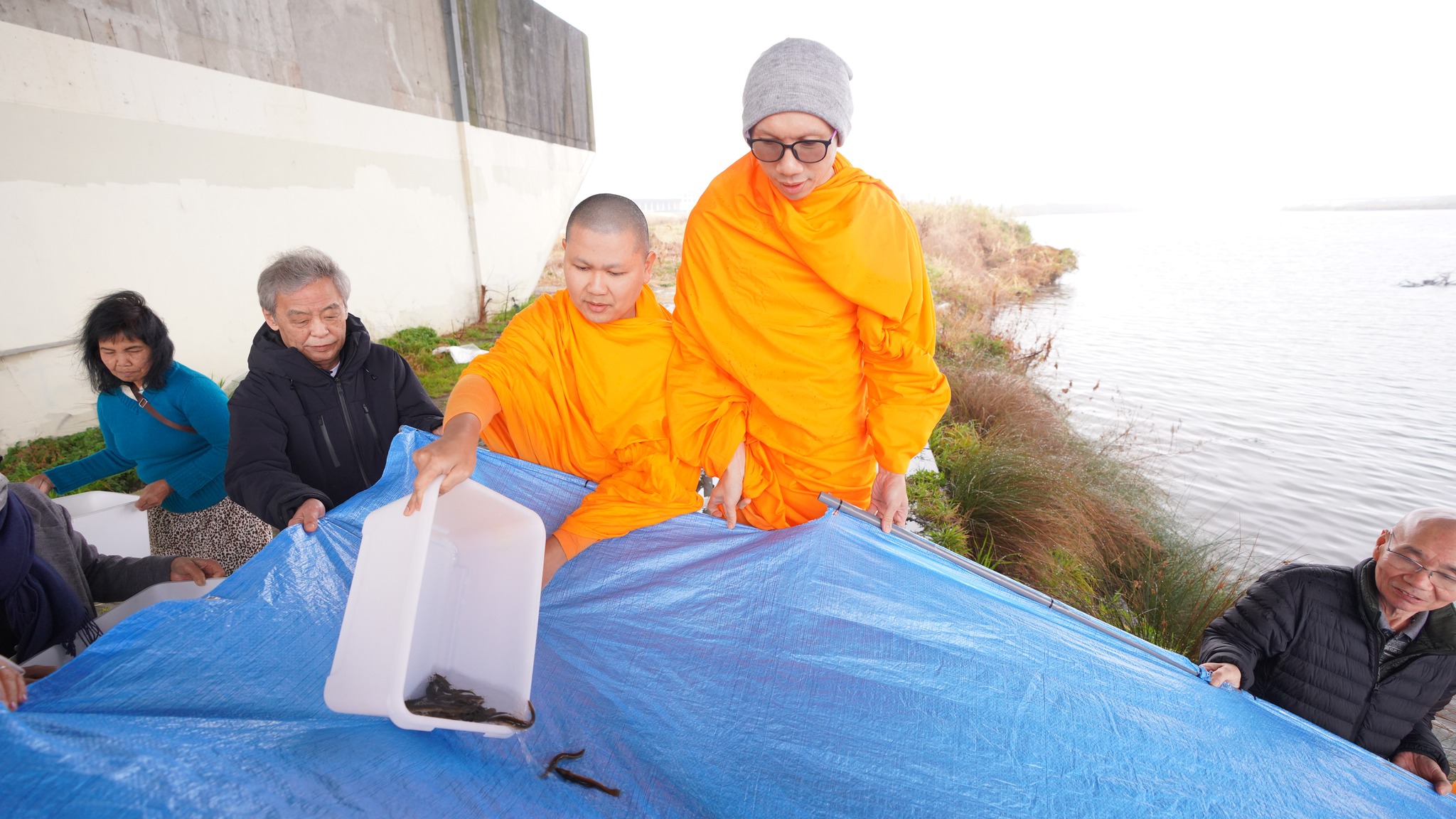 วัดพระธรรมกายโอซาก้า จัดกิจกรรมปล่อยปลาสหวาระเดือนเกิด