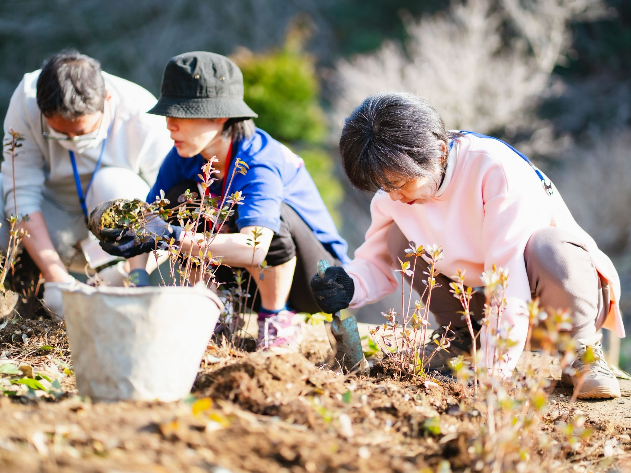 วัดป่าธรรมกายนานาชาติโทชิหงิ จัดปฏิบัติธรรมสุดสัปดาห์ รุ่นที่ 113