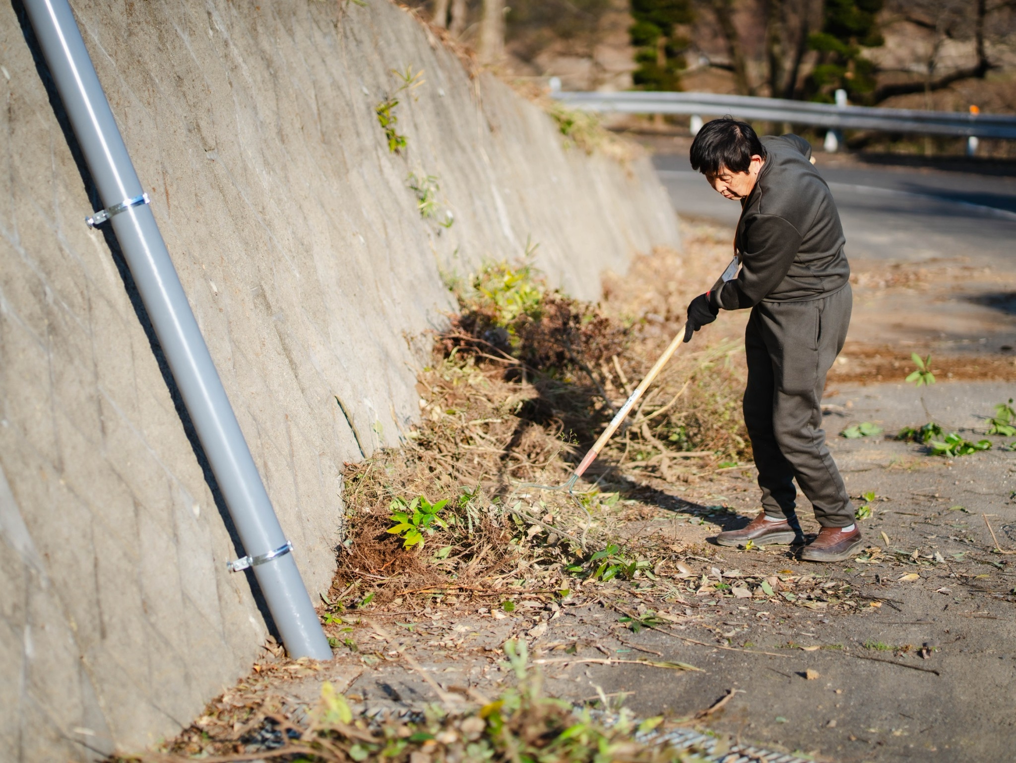 วัดป่าธรรมกายนานาชาติโทชิหงิ จัดปฏิบัติธรรมสุดสัปดาห์ รุ่นที่ 113