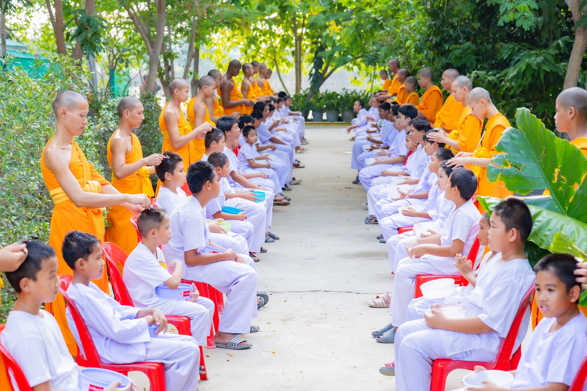 487878521_687541917266174_1663518523191845585_n (2).jpg