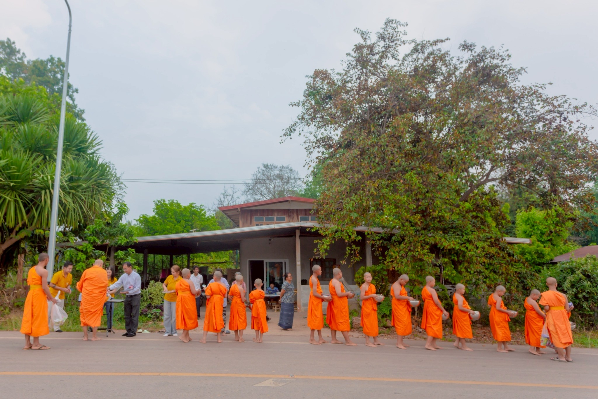 สามเณรศูนย์ปฏิบัติธรรมแก้วภูเรือ ออกบิณฑบาตโปรดญาติโยม
