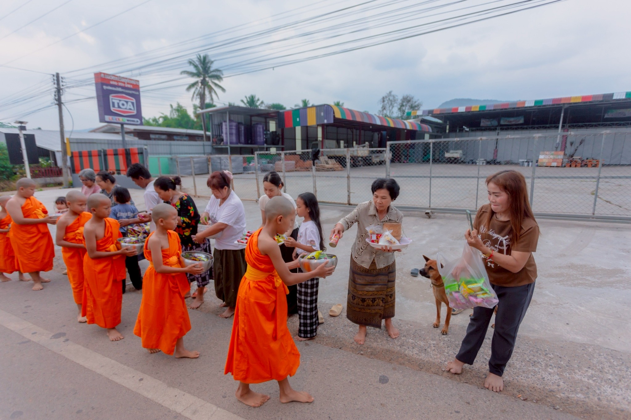 สามเณรศูนย์ปฏิบัติธรรมแก้วภูเรือ ออกบิณฑบาตโปรดญาติโยม