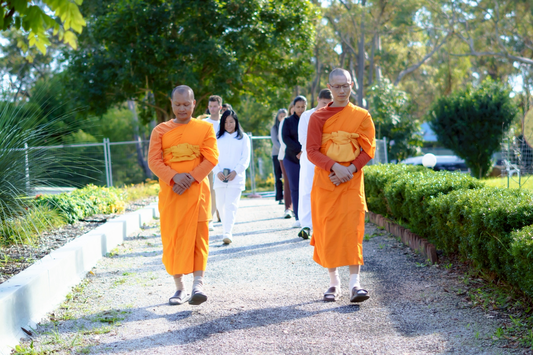 ได้เดินจงกลม