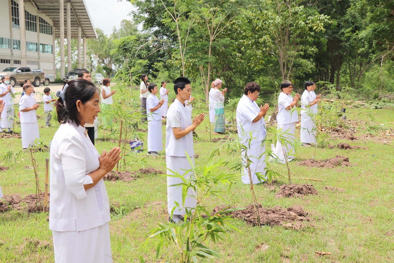 ปลูกต้นไม้ร่วมกัน