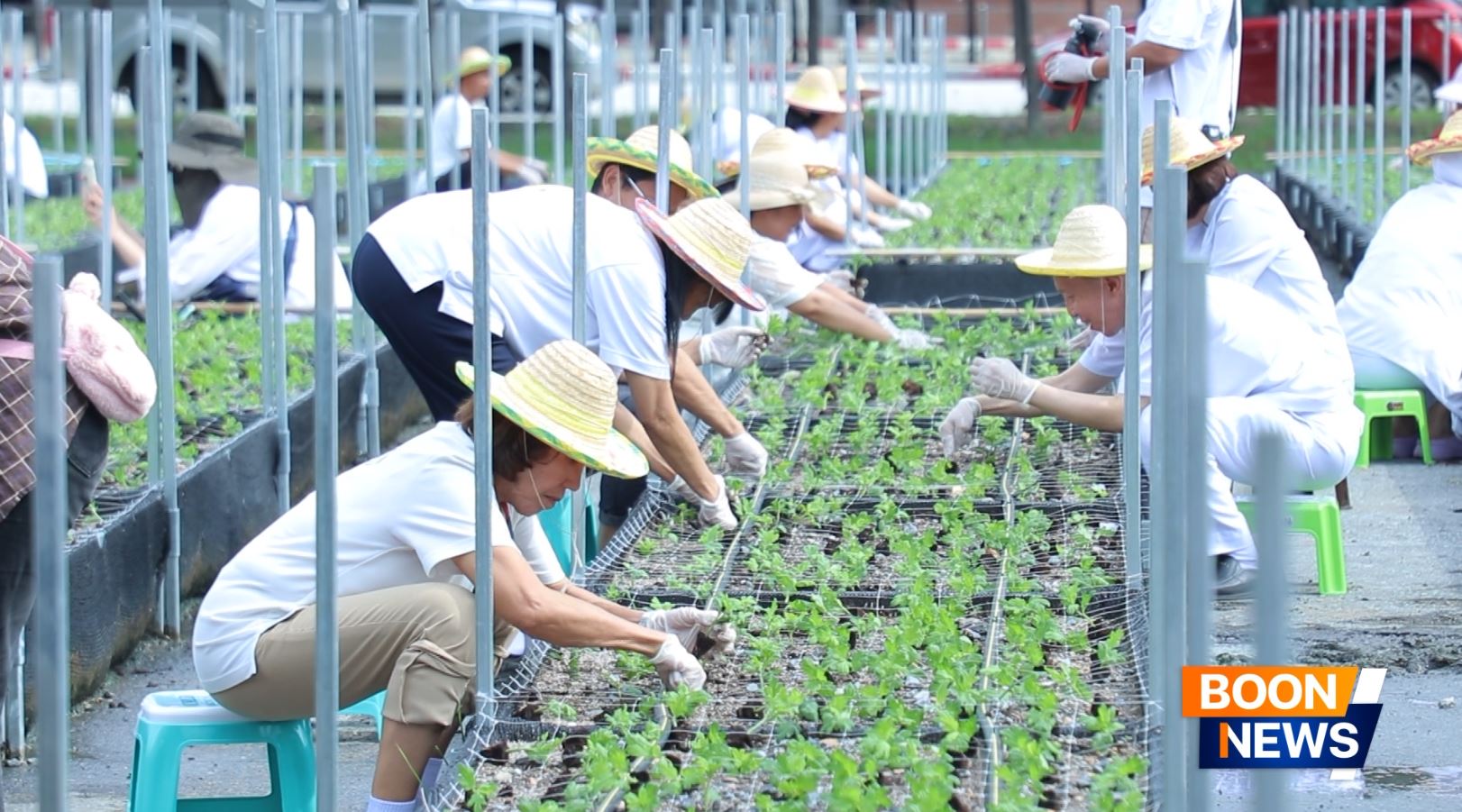 สาธุชนพร้อมด้วยเจ้าหน้าที่วัดพระธรรมกาย ร่วมปลูกต้นเบญจทรัพย์
