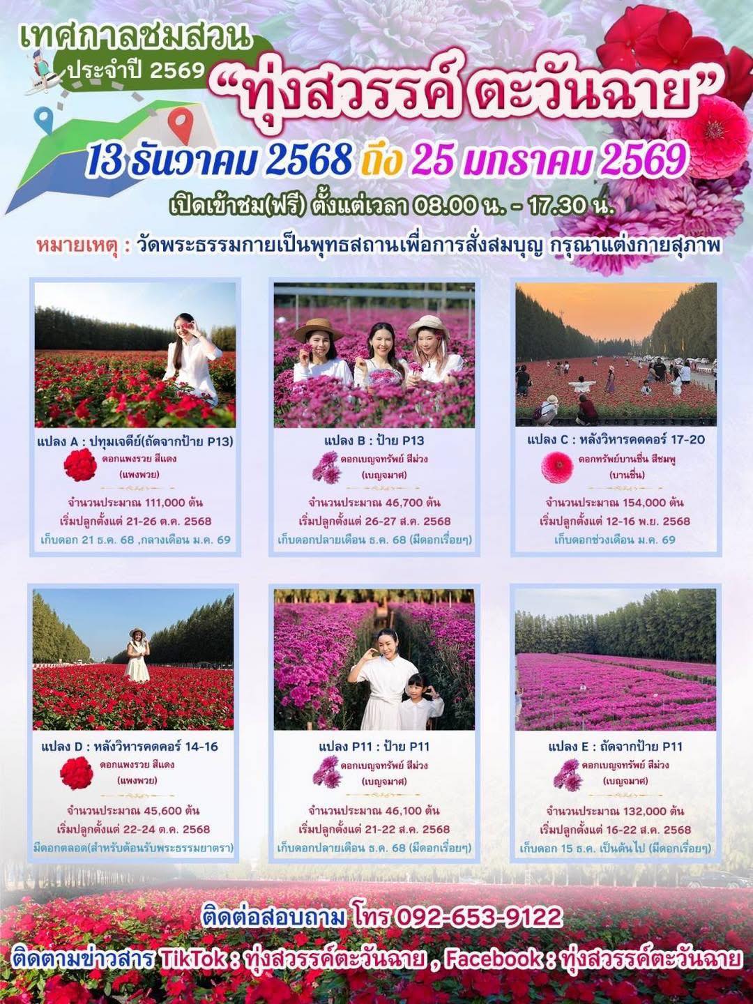 เทศกาลชมสวนดอกไม้  ประจำปี 2568 - 2569 ”ทุ่งสวรรค์ ตะวันฉาย“ วัดพระธรรมกาย จ.ปทุมธานี