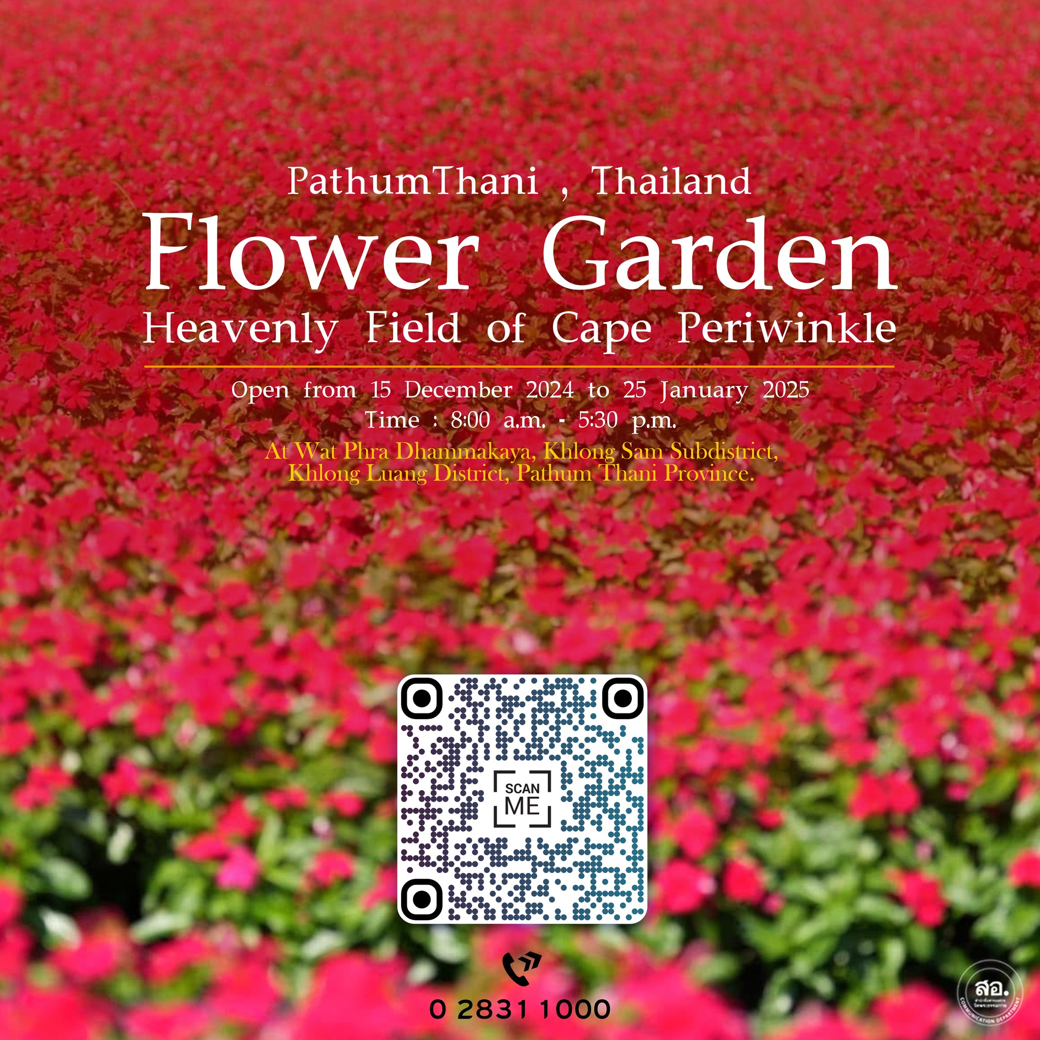 เทศกาลชมสวนดอกไม้ ประจำปี 2568 - 2569 ”ทุ่งสวรรค์ ตะวันฉาย“ วัดพระธรรมกาย จ.ปทุมธานี
