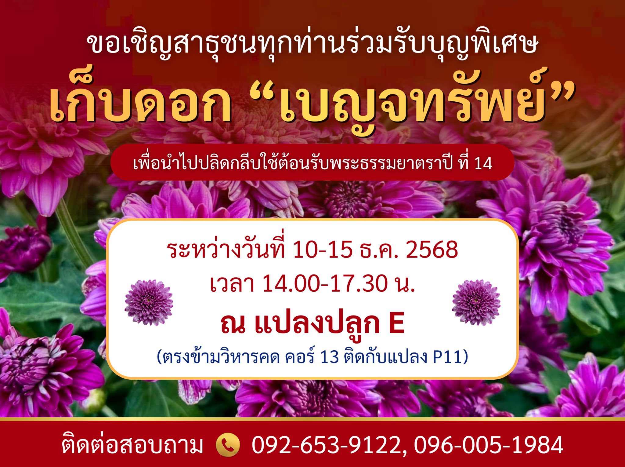 ขอเชิญสาธุชนร่วมรับบุญพิเศษ!! เก็บดอก “เบญจทรัพย์” เพื่อนำไปปลิดกลีบ ใช้ต้อนรับพระธรรมยาตราปี ที่ 14