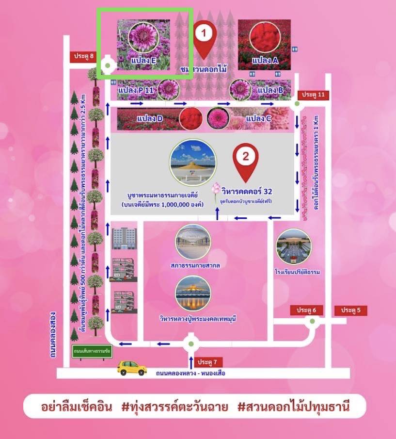 แผนผังเส้นทางไปเก็บดอก เบญจทรัพย์ แปลง E